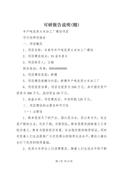 可研报告说明(精).docx