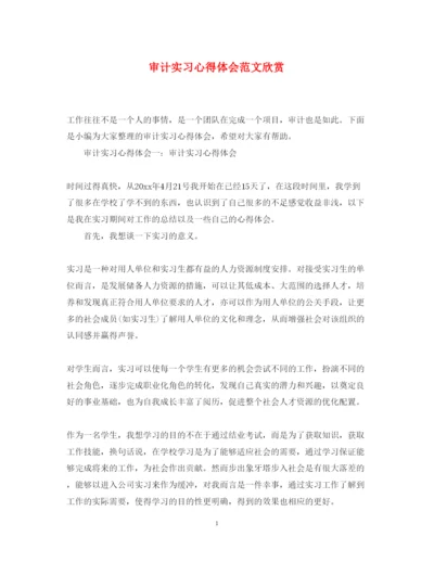 精编审计实习心得体会范文欣赏.docx