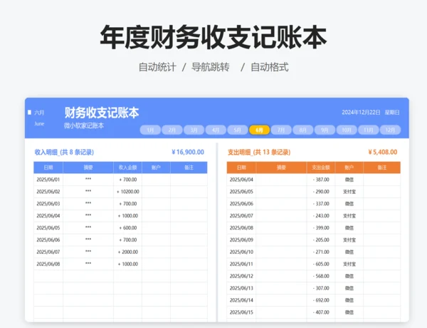 年度收支明细表