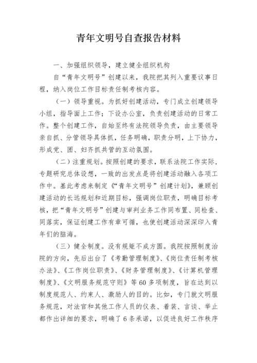 青年文明号自查报告材料.docx