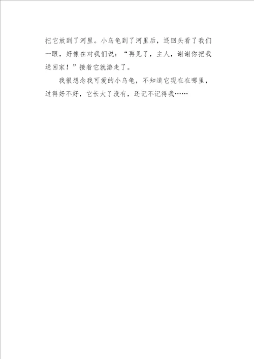 二年级作文叙事我喜爱的小乌龟500字