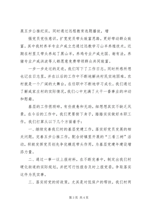第一书记驻村工作计划 (2).docx