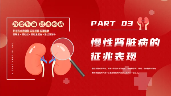世界肾脏日慢性肾脏病通用PPT模板