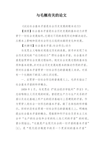 与毛概有关的论文精编.docx