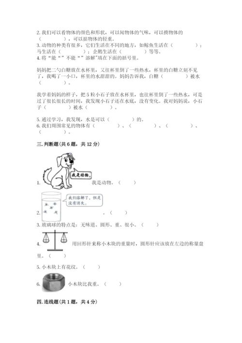 教科版小学科学一年级下册期末测试卷精品【有一套】.docx