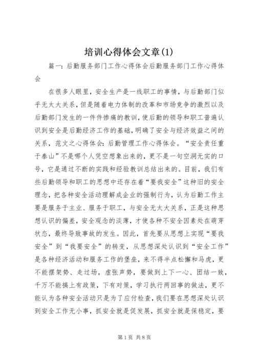 培训心得体会文章(4).docx