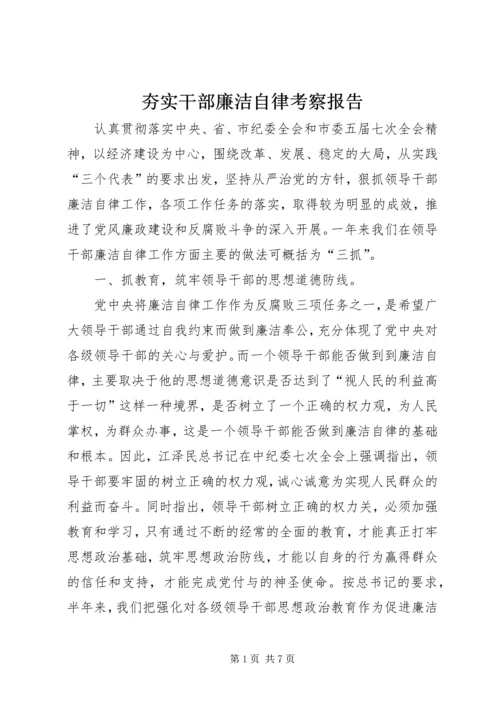 夯实干部廉洁自律考察报告.docx