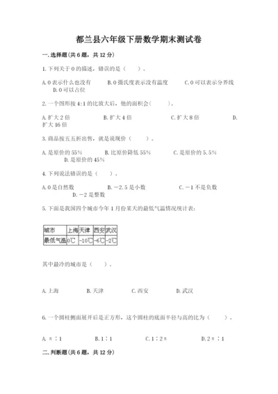 都兰县六年级下册数学期末测试卷精品有答案.docx