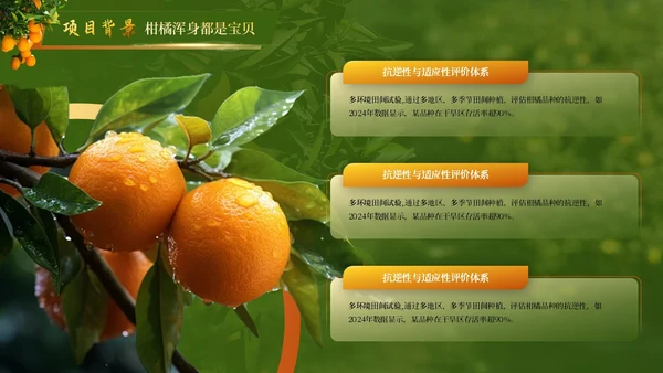 黄绿色高级创赛风农产品汇报PPT模板