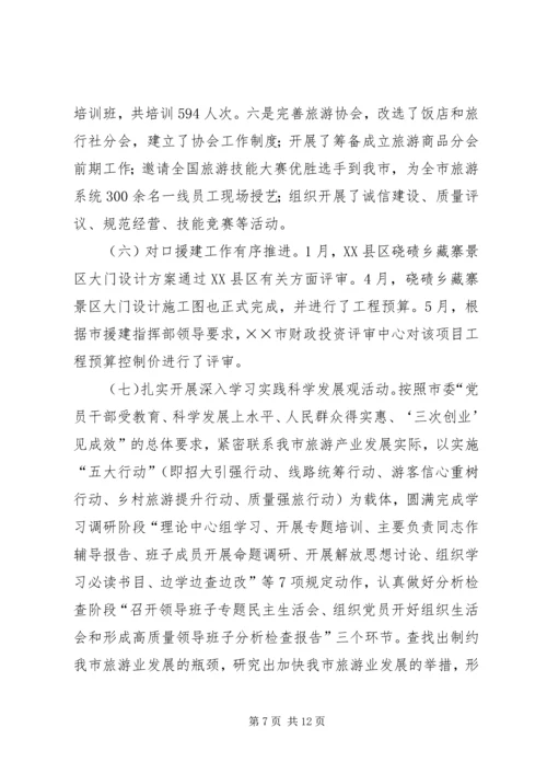 旅游党组上半年工作总结及下半年计划.docx