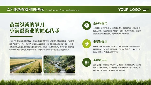 绿色简约创意中国传统二十四节气之小满课件PPT模板