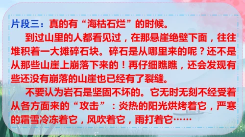 统编版语文八年级下册第二单元《写作：说明的顺序》课件