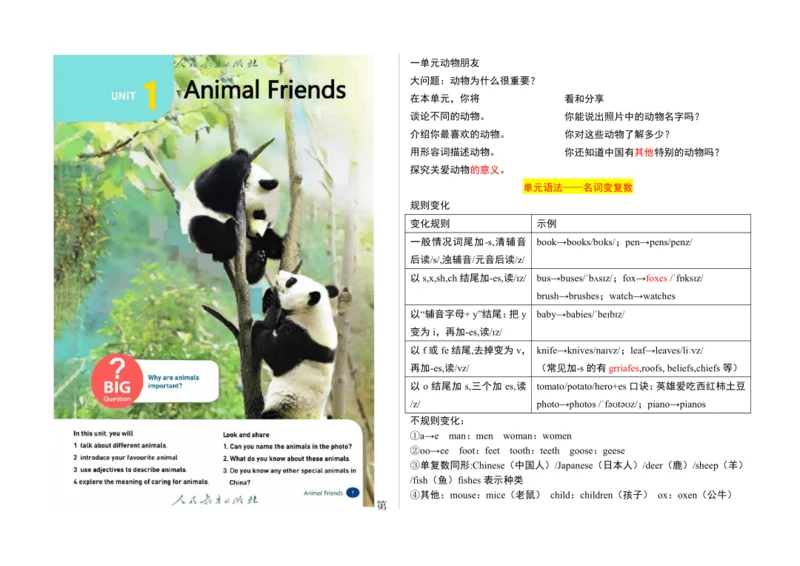 【课堂笔记】Unit 1 Animal Friends课文翻译与知识点解析讲义-2025春新人教七下