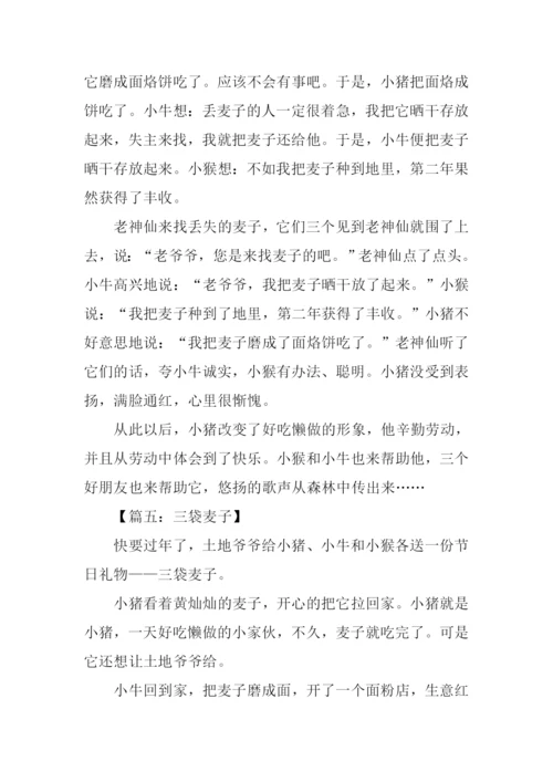 三袋麦子的作文.docx