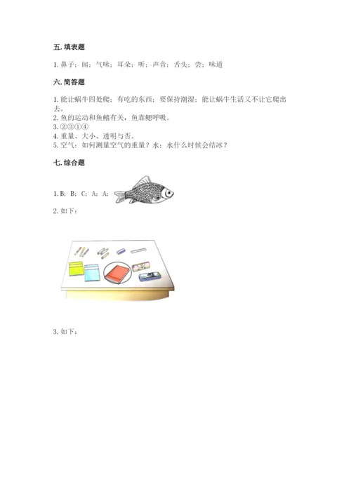 教科版小学科学一年级下册期末测试卷含完整答案【夺冠】.docx