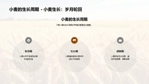 科技助力小麦丰收