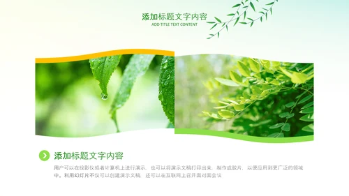 绿色小清新植树节植树造林环保PPT模板