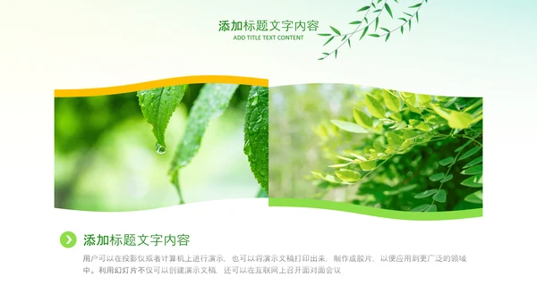 绿色小清新植树节植树造林环保PPT模板