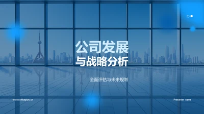 公司发展与战略分析