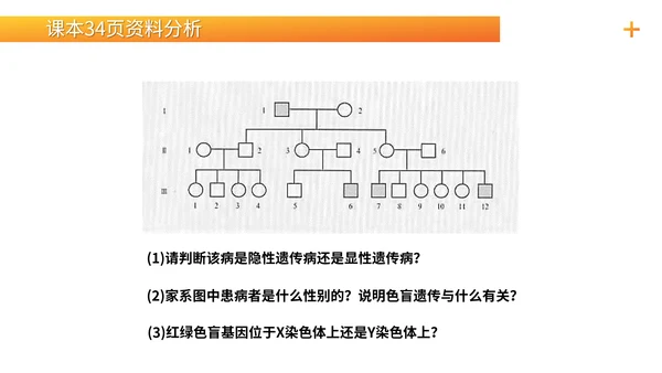 基因学伴性遗传初高中生物PPT课件