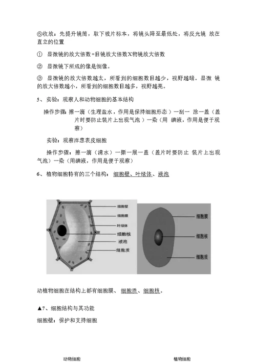 北师大版七年级上册生物复习提纲