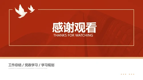 红色党政风爱国党政工作总结汇报PPT模板