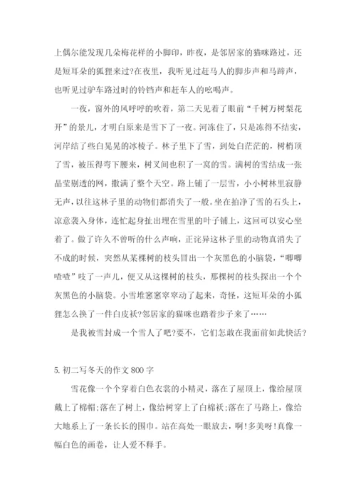 初二写冬天的作文800字5篇.docx