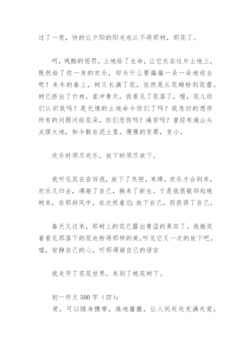 初一作文范文500字(精选29篇).docx