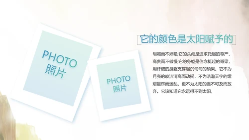 瑶族风情美丽家乡少数民族动态PPT