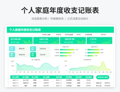 个人家庭年度收支记账表