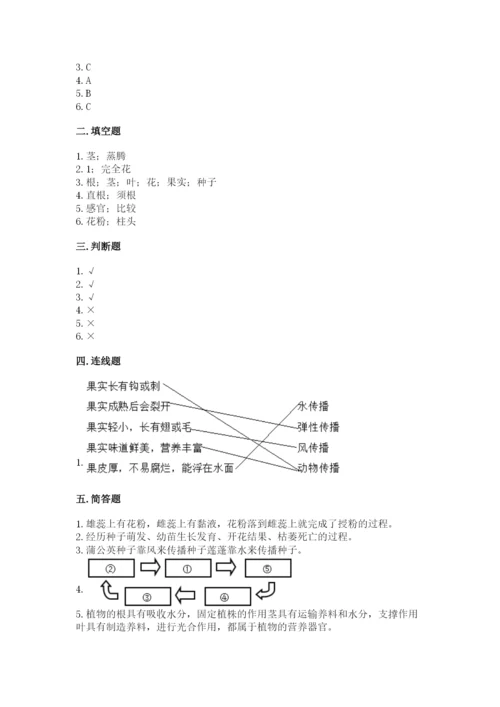 教科版四年级下册科学第一单元《植物的生长变化》测试卷（研优卷）.docx