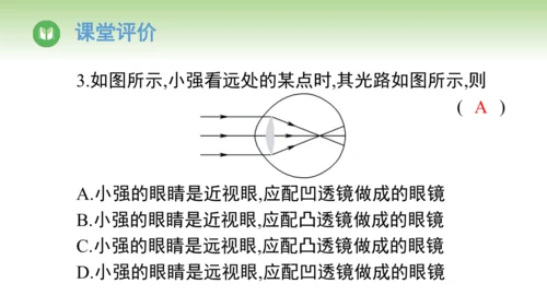 2024-2025学年人教版物理八年级上册5.4 眼睛和眼镜课件（24页ppt）