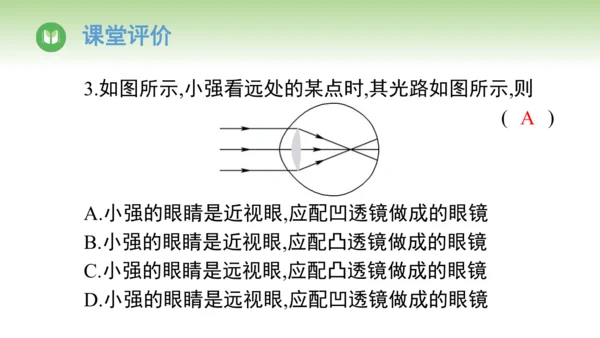 2024-2025学年人教版物理八年级上册5.4 眼睛和眼镜课件（24页ppt）