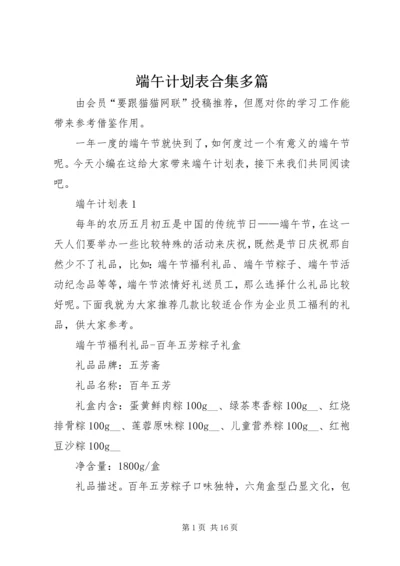 端午计划表合集多篇.docx