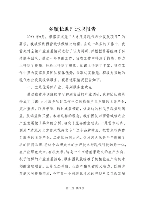 乡镇长助理述职报告.docx