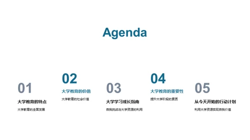大学教育的价值与挑战