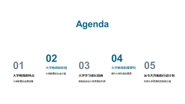 大学教育的价值与挑战