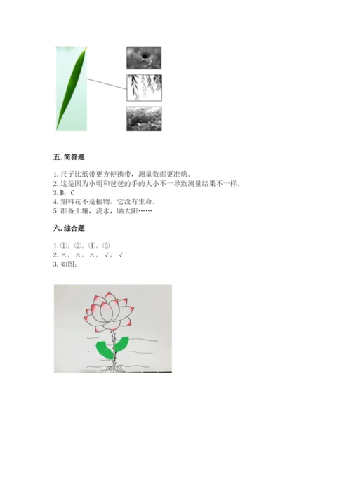 教科版一年级上册科学期末测试卷含答案（综合卷）.docx