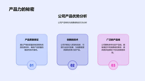 圣诞节营销策略报告PPT模板