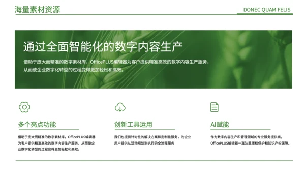 绿色简约风现代农业发展PPT