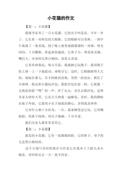 小花猫的作文.docx