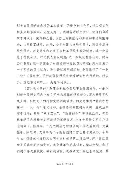 年度乡镇工作总结及年工作计划 (3).docx