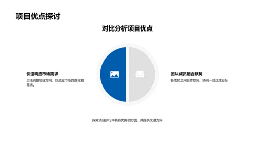 项目年度总结报告