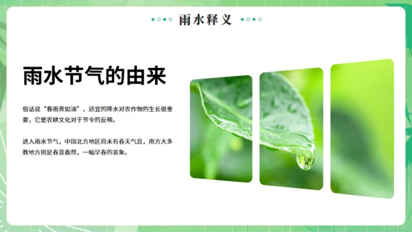 雨水节气燕子元素通用PPT绿色模板