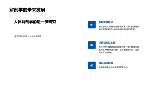 解剖学基础课程PPT模板