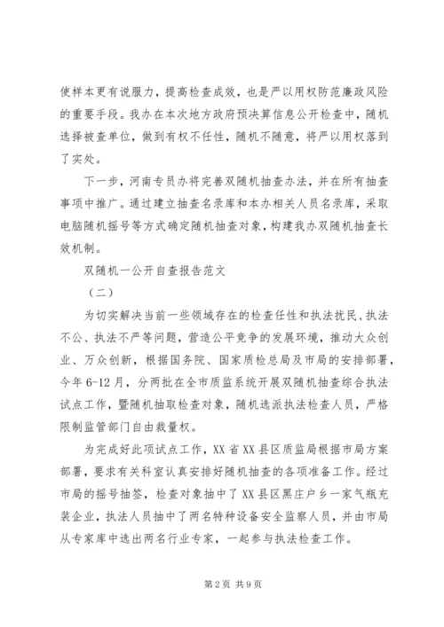 双随机一公开自查报告.docx