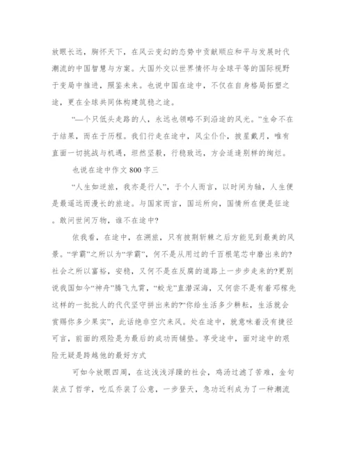 也说在途中议论文 也说在途中作文800字范文精选.docx