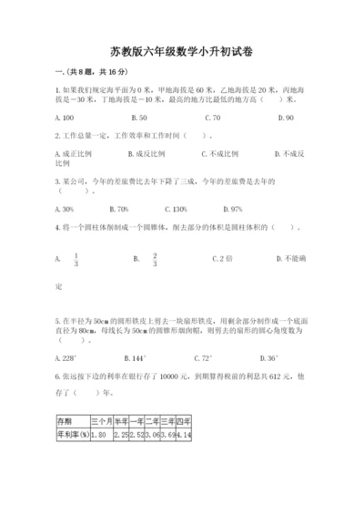 苏教版六年级数学小升初试卷精品加答案.docx