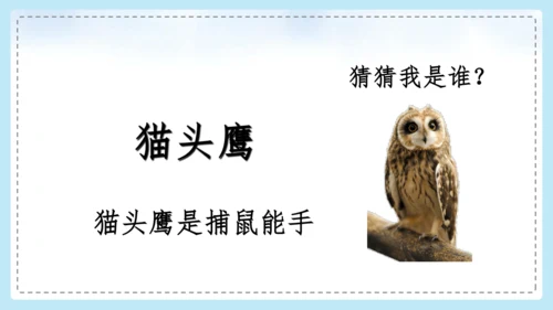 统编版语文二年级上册 课文1  口语交际 有趣的动物  课件