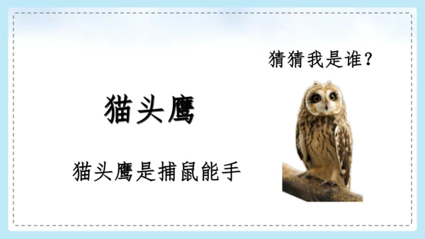 统编版语文二年级上册 课文1  口语交际 有趣的动物  课件